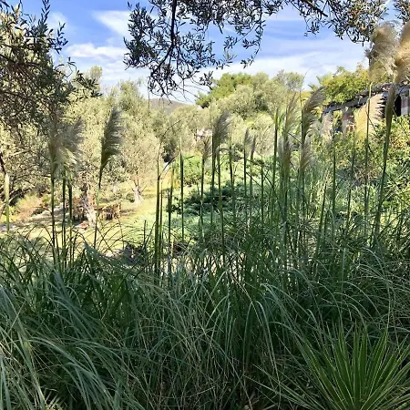 Dream House By The Aegean Coast *