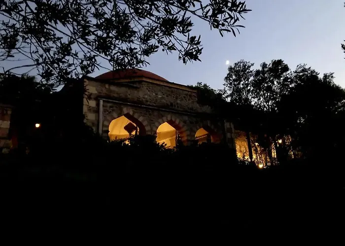 Dream House By The Aegean Coast Villa