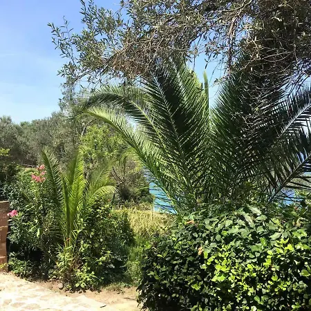 Vilă Dream House By The Aegean Coast Dikili